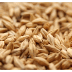 Acidulated Specialty Grain Malt